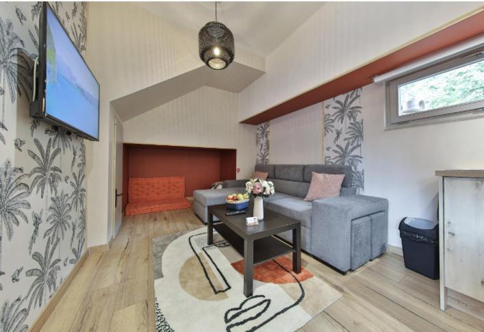 La Peniche De Fabrice Avec Jacuzzi Privatif Apartamento Estrasburgo Quarto foto